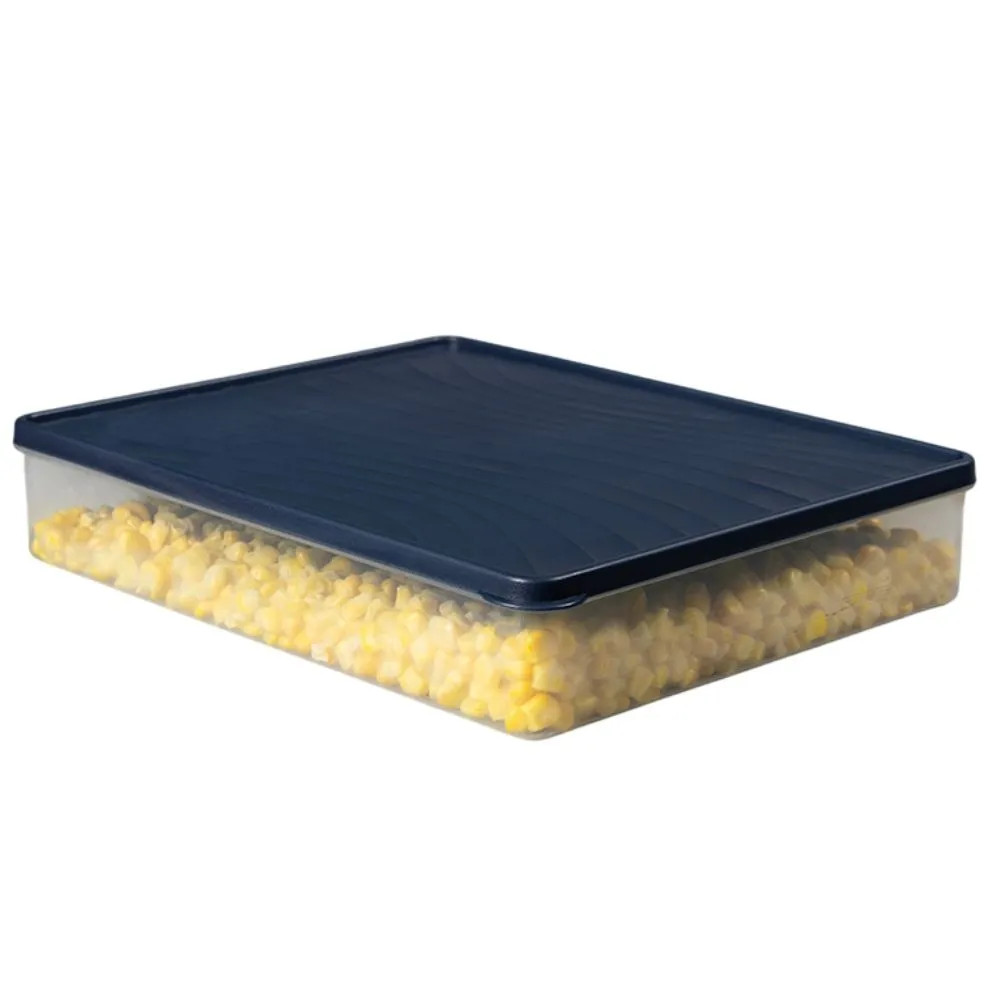 Boîte Rectangulaire en Plastique Décobella 3L 23x16cm