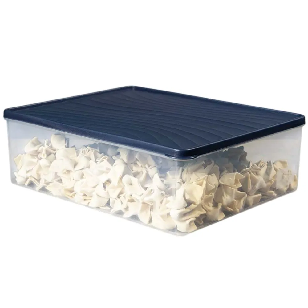 Boîte Rectangulaire en Plastique Décobella 5L 28x19cm